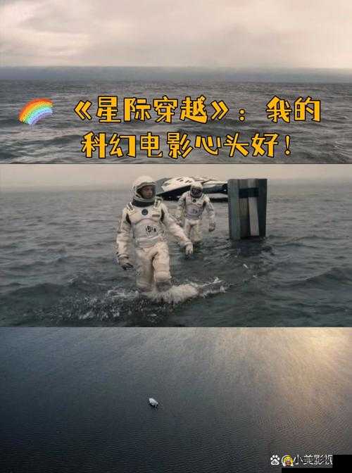 星空影视网免费观看：畅享海量精彩影视无需付费