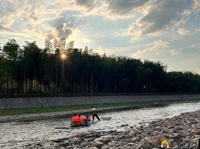 船长漂流记，揭秘鲨鱼不咬木板的生存智慧